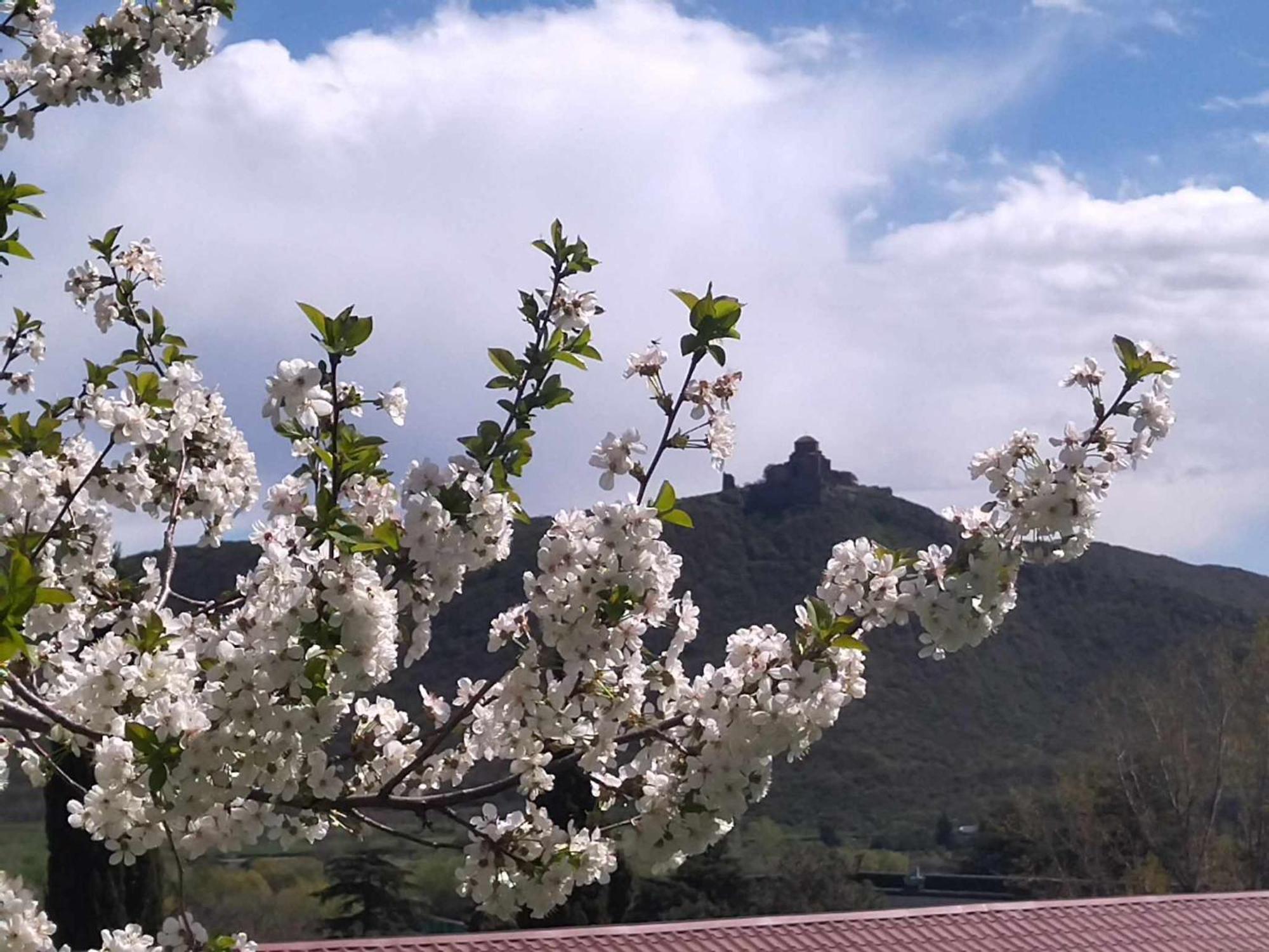 Garden And Panorama 호텔 Mtsʼkhetʼa 외부 사진